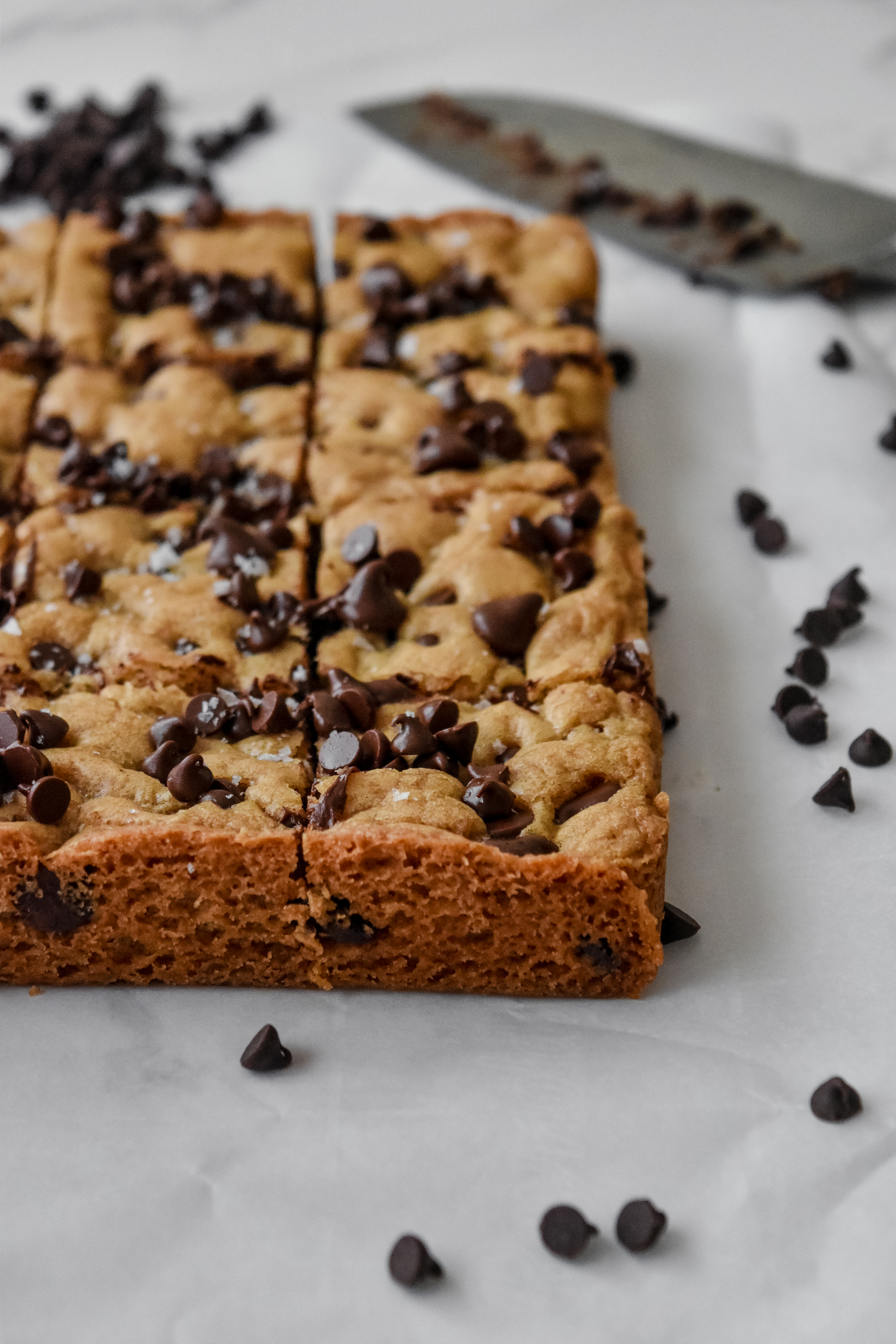 The Ultimate Chocolate Chip Cookie Bars!